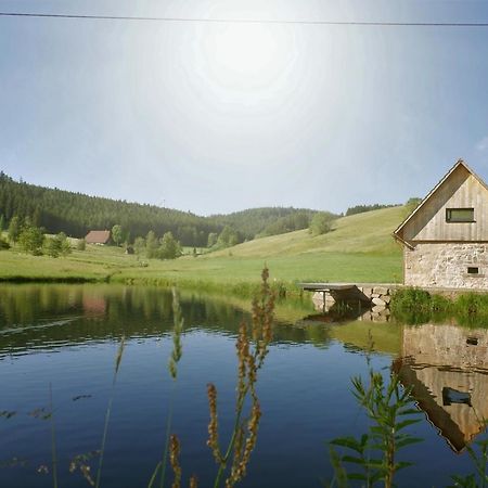 ホルンベルク Ferienhaus Im Schwarzwald Am See "Backhaeusle"ヴィラ エクステリア 写真