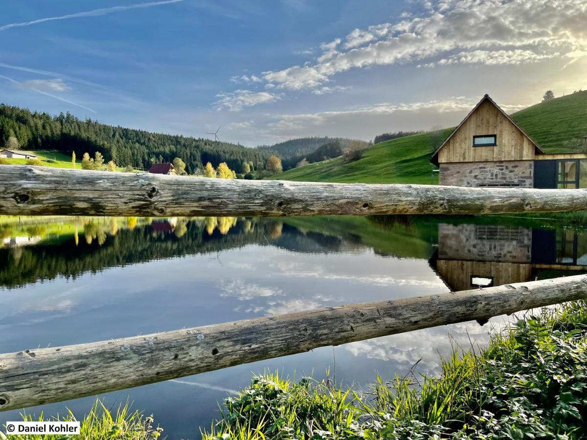 ホルンベルク Ferienhaus Im Schwarzwald Am See "Backhaeusle"ヴィラ エクステリア 写真