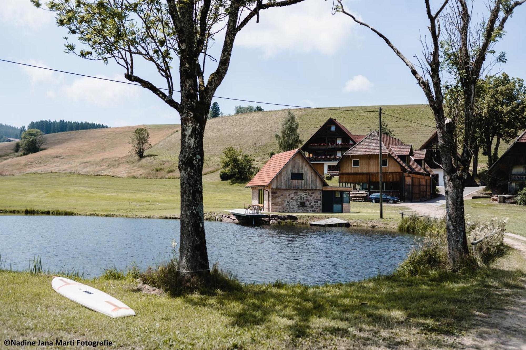 ホルンベルク Ferienhaus Im Schwarzwald Am See "Backhaeusle"ヴィラ エクステリア 写真